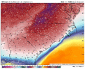 gfs-deterministic-carolinas-t2m_f-1768996800-1769331600-1769331600-20.gif