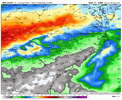 nam-218-all-carolinas-total_precip_inch-9364000.png