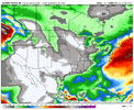 ecmwf-aifs-all-conus-total_precip_inch-1769472000-1770076800-1770076800-10.gif