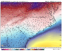 Jan 28 AIFS Temps.gif