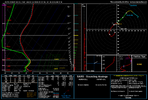 Jan 29 RGEM Sounding.png