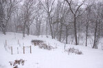 backyard-in-snowfall.jpg backyard-in-snowfall.jpg