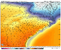 ecmwf-aifs-all-carolinas-t2m_f-1770206400-1771005600-1771005600-20.gif