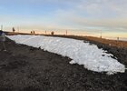 IMG_5722.jpeg