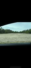 IMG_0206.png