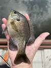 IMG_5357.jpeg