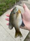 IMG_5351.jpeg