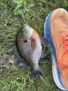 IMG_5403.jpeg