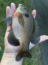 IMG_5410.jpeg