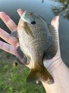 IMG_5396.jpeg