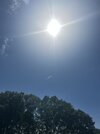 IMG_9457.jpeg
