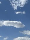 IMG_5469.jpeg