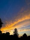 IMG_5490.jpeg