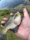 IMG_5567.jpeg