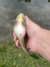IMG_5565.jpeg