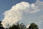 IMG_4532.jpeg