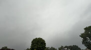 C5DA1501-EE6F-4D7B-8CBE-9D3E4A9D331C.jpeg