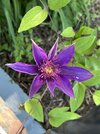 IMG_5629.jpeg