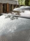 IMG_0530.jpeg