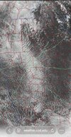 IMG_1203.jpeg