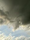 IMG_5798.jpeg