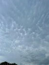 IMG_5783.jpeg