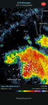 KLTX - Super-Res Reflectivity 1, 1_59 PM.gif