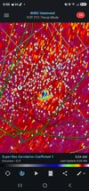 1000091024.jpg