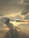 IMG_5906.jpeg