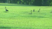 NewIMG_4525.jpg