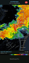 KLTX - Super-Res Reflectivity 1, 8_00 PM (1).gif