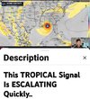1783970348435.jpeg