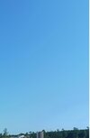 Screenshot_20260719_172633_Gallery.jpg