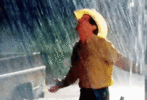 IMG_0772.gif
