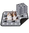 petfeedingmatusedbyai.jpg petfeedingmatusedbyai.jpg