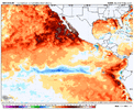 ostia-all-epac-sst_anom-1775433600-1785369600-20-6.gif