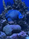 IMG_6139.jpeg