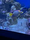 IMG_6140.jpeg
