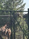 IMG_6124.jpeg