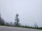 20260808_065104.jpg