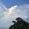 20260808_192650.jpg