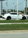 IMG_6201.jpeg