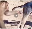 Screenshot_20260823_181903_YouTube.jpg