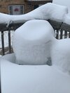 IMG_0973.jpeg