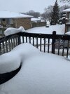 IMG_1134.jpeg