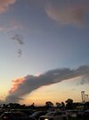 IMG_6424.jpeg