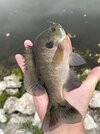 IMG_6597.jpeg