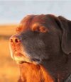 IMG_1678.jpeg