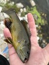 IMG_6640.jpeg