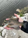 IMG_6643.jpeg
